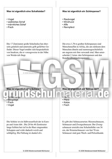 Quiz-Karten-Tiernamen 12.pdf